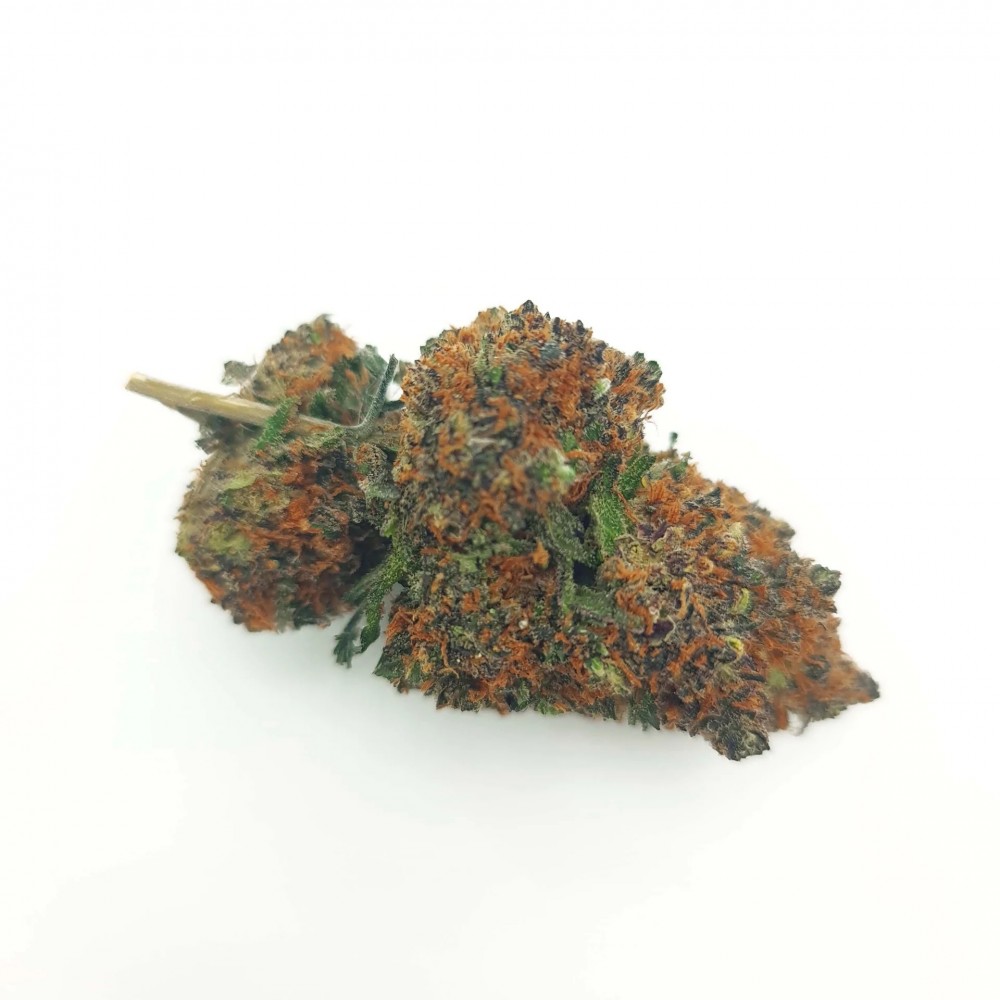 PURPLE QUEEN INDOOR 56% CBD (ΑΝΘΟΣ ΚΑΝΝΑΒΗΣ) 1 GR Προϊόντα Κάνναβης