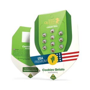 Cookies Gelato Automatic Σπόροι Κάνναβης (Royal Queen Seeds)