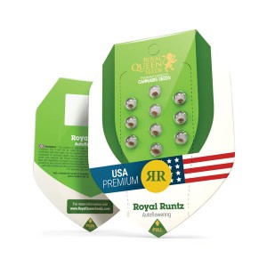Royal Runtz Automatic, 3 seeds Σπόροι Κάνναβης (Royal Queen Seeds)