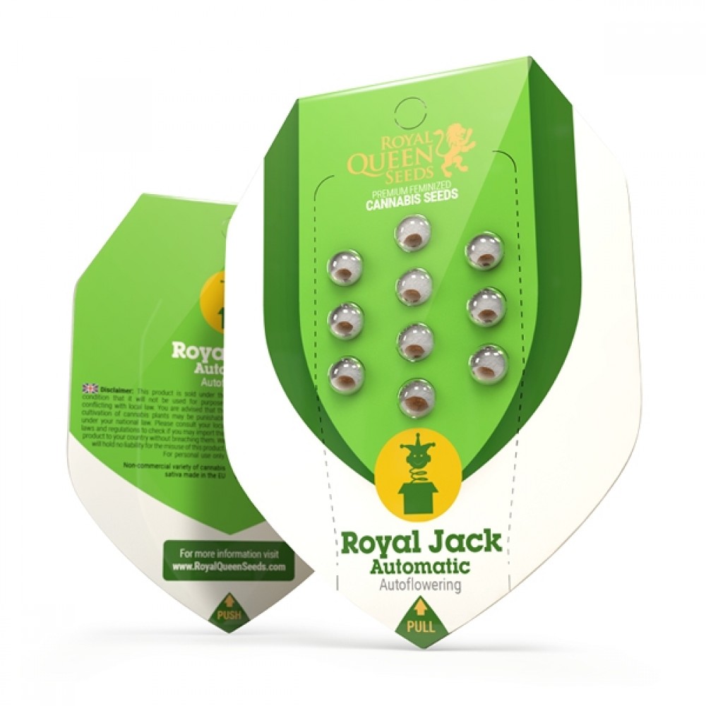 Royal Jack Automatic, 3 seeds Σπόροι Κάνναβης (Royal Queen Seeds)