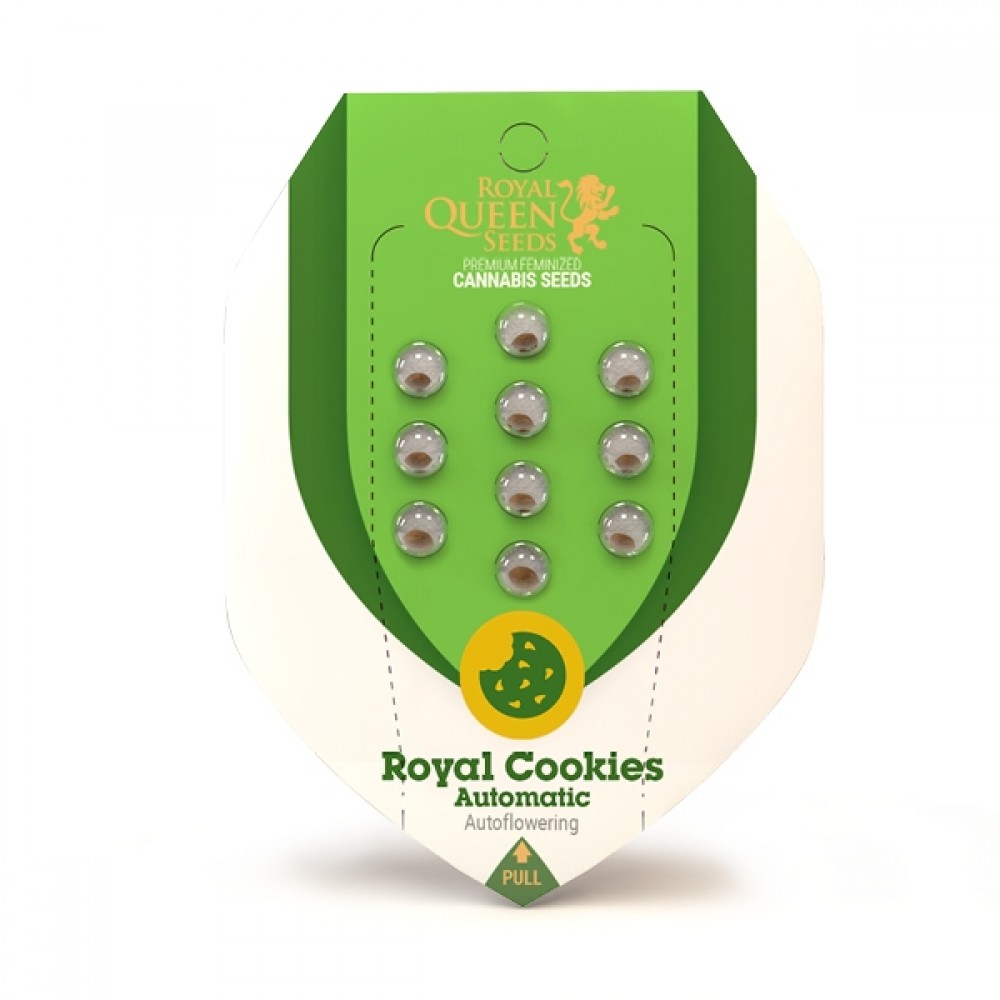 Royal Cookies Automatic, 3 seeds Σπόροι Κάνναβης (Royal Queen Seeds)