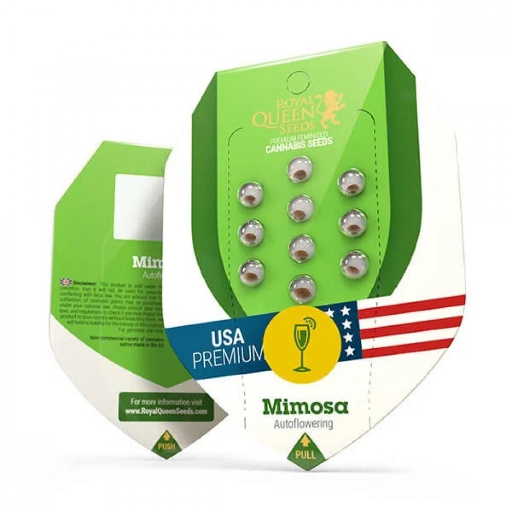 Mimosa Automatic, 3 seeds Σπόροι Κάνναβης (Royal Queen Seeds)