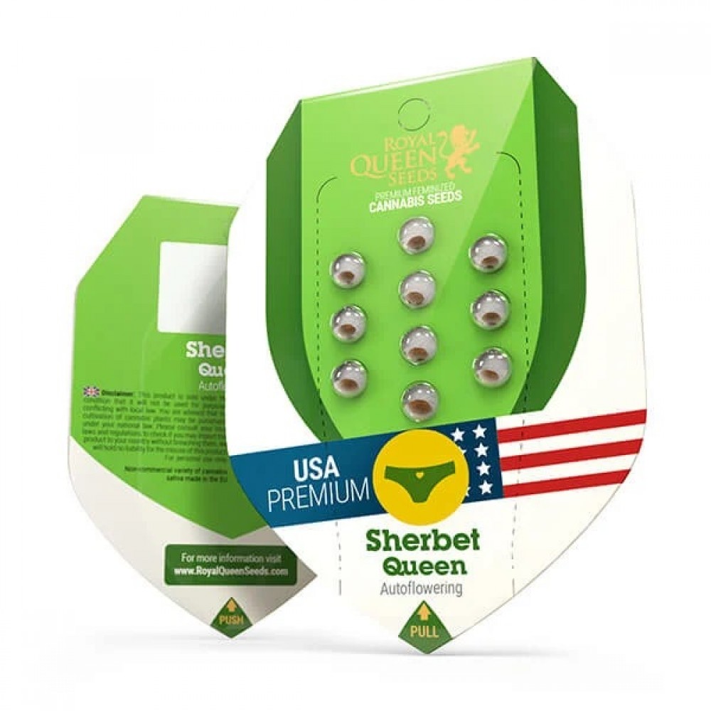 Sherbet Queen Automatic, 3 seeds Σπόροι Κάνναβης (Royal Queen Seeds)