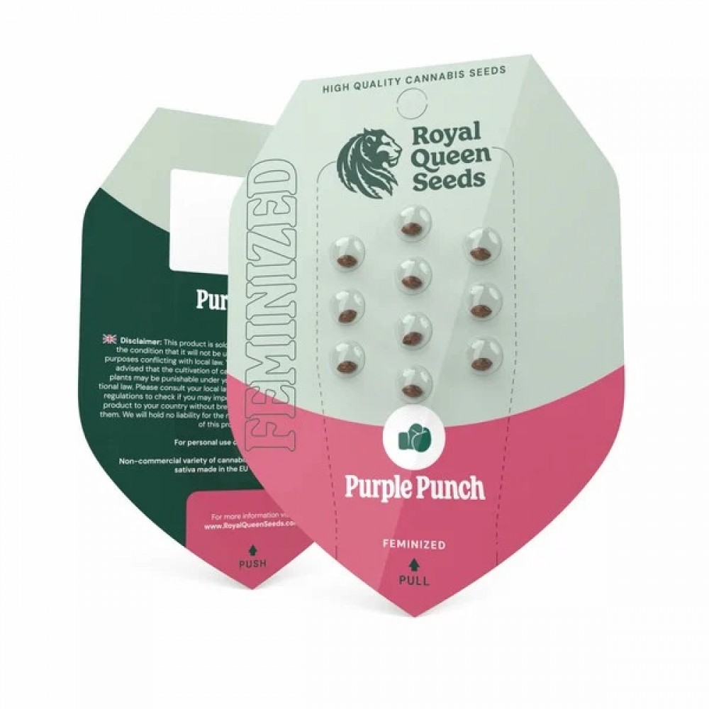 Purple Punch (Royal Queen Seeds) Σπόροι Κάνναβης 