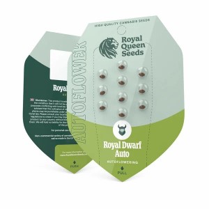 Royal Dwarf Σπόροι Κάνναβης (Royal Queen Seeds)